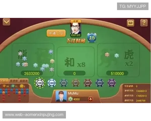 掌握百家乐规则的详细指南帮助你轻松赢取游戏胜利