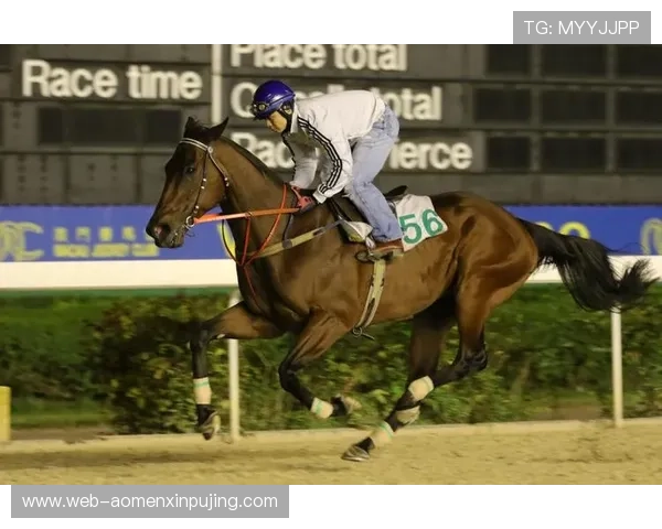 澳门赛马今天直播平台推荐，高清流畅观看赛事全程无延迟