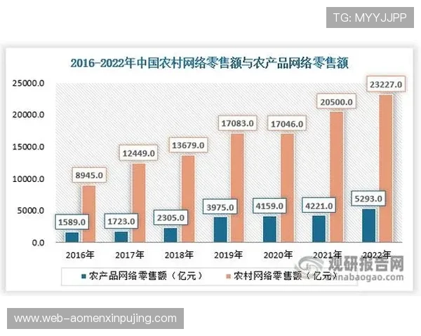 专家解读现金足球评级体系构建背后的行业趋势与未来发展方向
