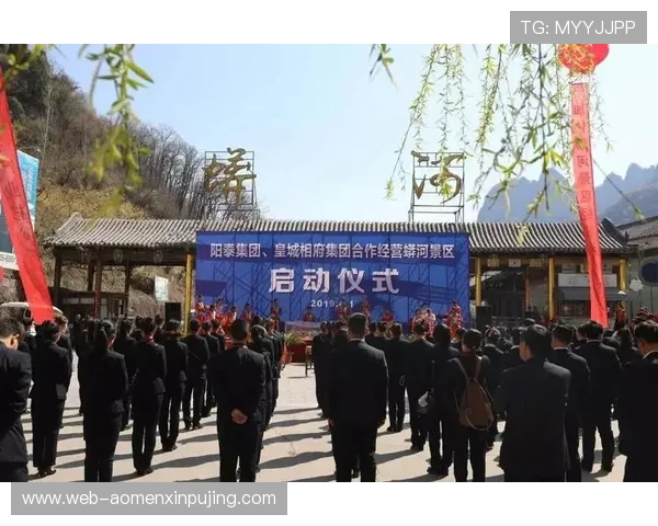 大阳城集团在网络游戏行业中的创新策略与成功案例，提升企业竞争优势