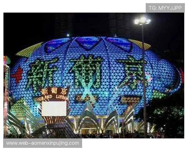 澳门新葡京数字站多元化游戏选择，满足不同玩家的娱乐需求与体验偏好